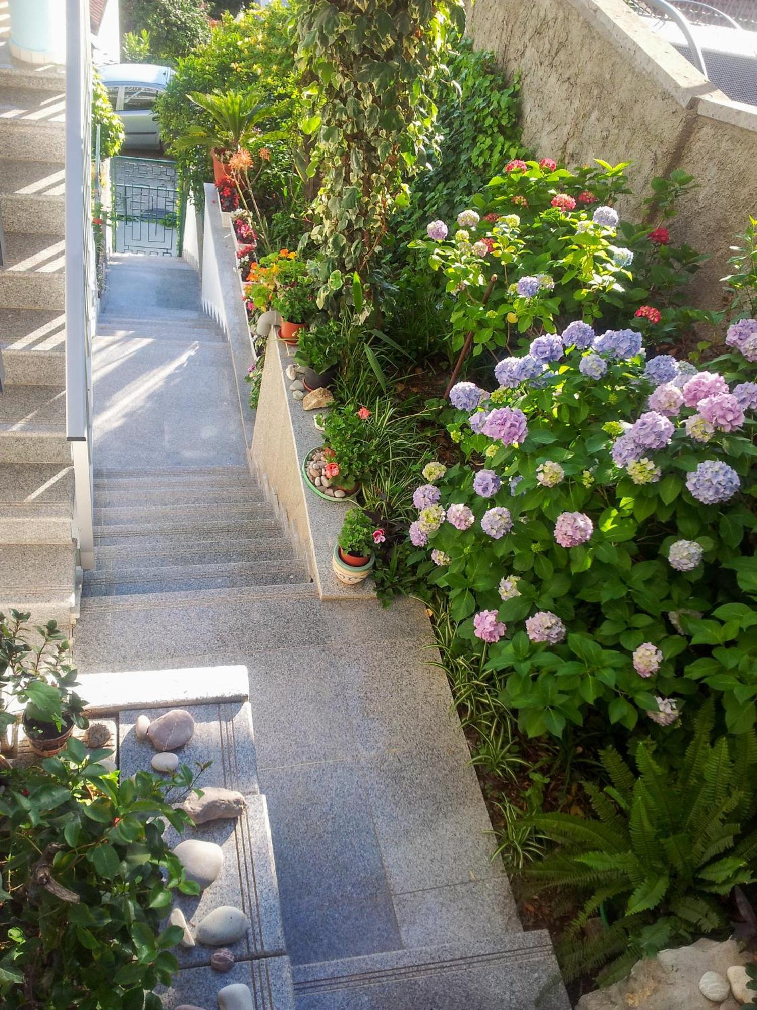Apartament Panorama Budva