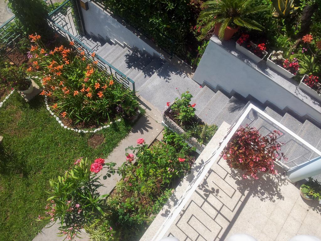 Panorama Apartament Budva